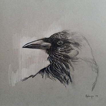 Magnet Raven Car Magnetic Vinyl Bumper Sticker 5'' x 4''