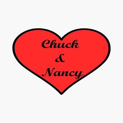 MAGNET Funny Chuck Schumer net neutrality Nancy Pelosi daca Minority leaders of the Liberal Democratic Party for Activism and Feminism Magnetic Vinyl Car Bumper Sticker 5"
