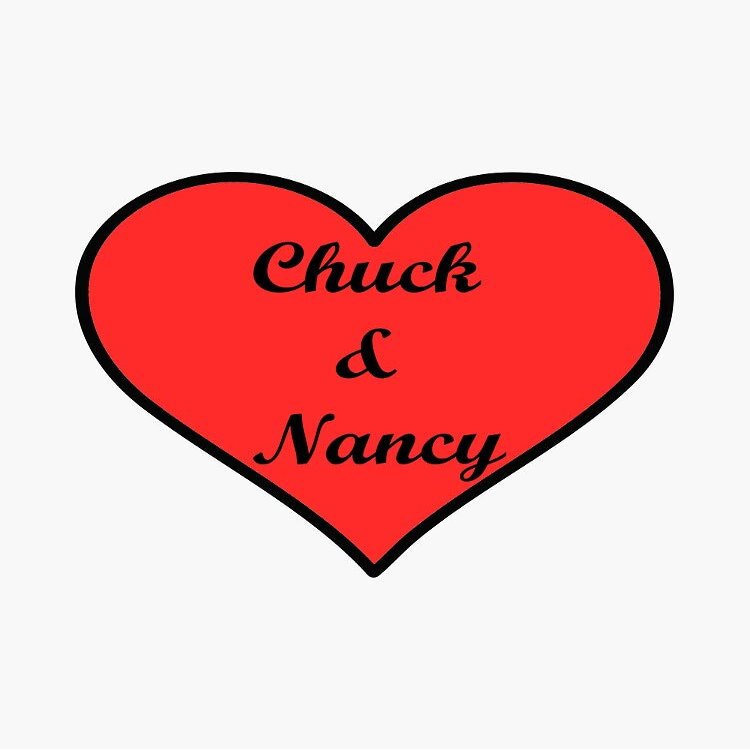 MAGNET Funny Chuck Schumer net neutrality Nancy Pelosi daca Minority leaders of the Liberal Democratic Party for Activism and Feminism Magnetic Vinyl Car Bumper Sticker 5"