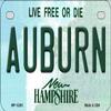 SMART BLONDE Auburn New Hampshire Novelty Metal Motorcycle Plate MP-12200 view 1