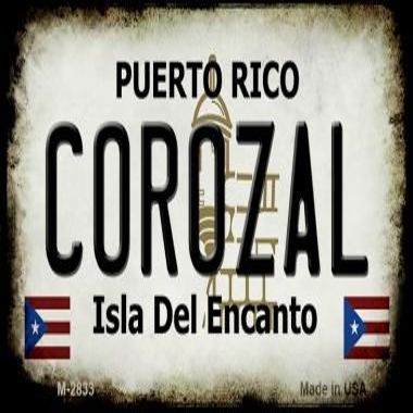 SMART BLONDE Corozal Puerto Rico State License Plate Magnet M-2833