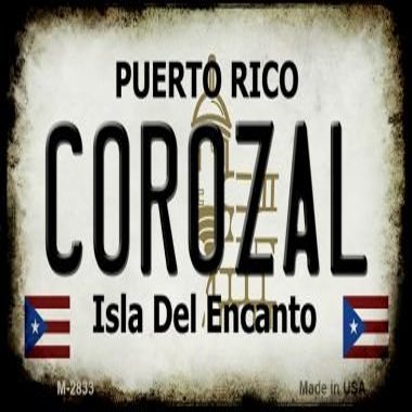 SMART BLONDE Corozal Puerto Rico State License Plate Magnet M-2833