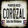 SMART BLONDE Corozal Puerto Rico State License Plate Magnet M-2833 view 1