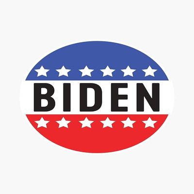MAGNET Joe Biden Campaign Magnetic Vinyl Car Bumper Sticker 5"