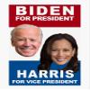 MAGNET BIDEN for President/HARRIS for Vice President Magnetic Vinyl Car Bumper Sticker 5" view 1