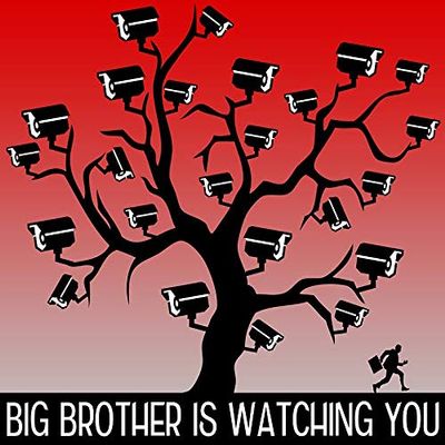 Magnet Big Brother is Watching You Car Magnetic Vinyl Bumper Sticker 5'' x 4''