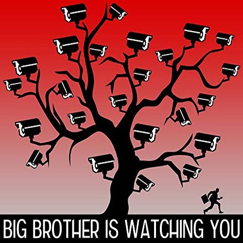 Magnet Big Brother is Watching You Car Magnetic Vinyl Bumper Sticker 5'' x 4''