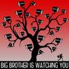 Magnet Big Brother is Watching You Car Magnetic Vinyl Bumper Sticker 5'' x 4'' view 1