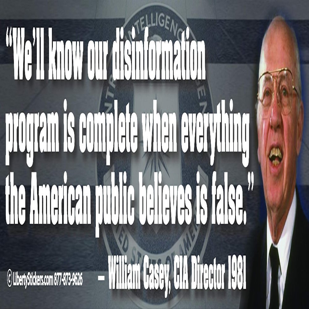 We'll Know Our Disinformation Program is Complete When Everything The American Public Believes is False. - William Casey, CIA Director 1981 - Magnetic Bumper Sticker/Decal Magnet (10.5 X 3)