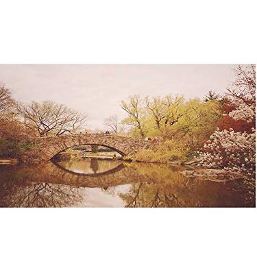 Magnet Beautiful Springtime Landscape - Central Park - New York City Car Magnetic Vinyl Bumper Sticker 5'' x 4''