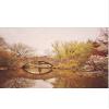 Magnet Beautiful Springtime Landscape - Central Park - New York City Car Magnetic Vinyl Bumper Sticker 5'' x 4'' view 1