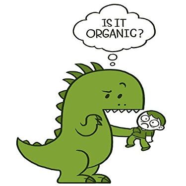 Magnet Organic Dinosaur Car Magnetic Vinyl Bumper Sticker 5'' x 4''