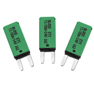 GLOSO Mini ATM Circuit Breakers 30Amp Auto Reset (T1) - 3 Pack (30A) E71