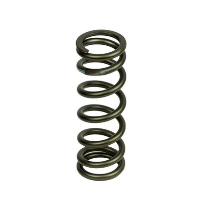 DVO LS Coil Spring 2.5" x 450# - 1428130-450