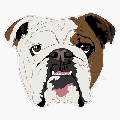 Squishy Dogs - English Bulldog Vinyl Waterproof Sticker Decal Car Laptop Wall Window Bumper Sticker 5"