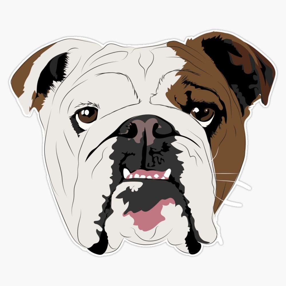 Squishy Dogs - English Bulldog Vinyl Waterproof Sticker Decal Car Laptop Wall Window Bumper Sticker 5"