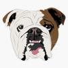 Squishy Dogs - English Bulldog Vinyl Waterproof Sticker Decal Car Laptop Wall Window Bumper Sticker 5" view 1