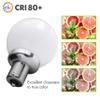 Leisure LED 12 Volt RV Led Light Bulbs BA15s 20-99/1141 1156 12V Vanity Replacement Bulbs for 5th Wheel Camper Trailer Motorhomes Marine Boat Interior Light Bulb 6500K Cool White 3 Pack (Cool White) view 4
