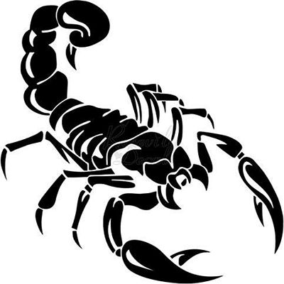 Roseville Decals Scorpion Vinyl Decal Sticker for Home Office Decor Vehicle Window Sign Size- [15 inch] / [38 cm] Tall and Color- Matte White