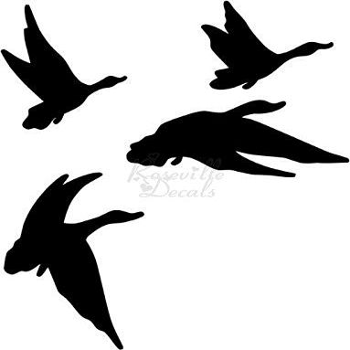 Roseville Decals Flying Ducks Vinyl Decal Sticker for Home Office Decor Vehicle Window Sign Size- [20 inch] / [50 cm] Tall and Color- Matte White