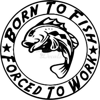 Roseville Decals Born to Fish Forced to Work Fishing Vinyl Decal Sticker for Home Office Decor Vehicle Window Sign Size- [20 inch] / [50 cm] Tall and Color- Matte White