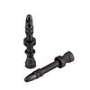 Spank Tubeless Ready Presta Valves view 1