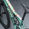 Dyedbro Mtb Frame Protector Stay Free Matte Color, One Size view 4