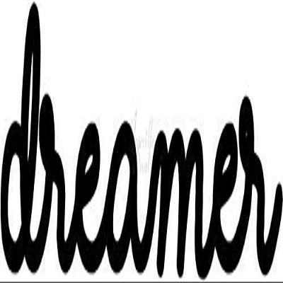 Roseville Decals Dreamer Dreamcatcher Indian Vinyl Decal Sticker for Home Office Decor Vehicle Window Sign Size- [15 inch] / [38 cm] Wide Color- Matte Black