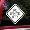 Dog up in This Bitch Vinyl Decal - Family Pet Puppy - Die Cut Sticker - 8w x 8h inches - Grey view 1