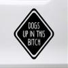 Dogs up in This Bitch Vinyl Decal - Family Pet Puppy - Die Cut Sticker - 8w x 8h inches - White view 2
