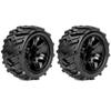ROPR2004-B2 Morph 1/10 Stadium Truck Tire Black Wheel 1/2 Offset view 1