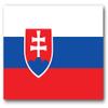 BORED? PARACORD! Slovakia Flag Vinyl Decal Sticker Car Window Bumper 5 X 3 Inches Premium Quality view 1