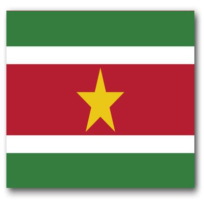BORED? PARACORD! Suriname Flag Vinyl Decal Sticker Car Window Bumper 5 X 3 Inches Premium Quality