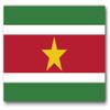 BORED? PARACORD! Suriname Flag Vinyl Decal Sticker Car Window Bumper 5 X 3 Inches Premium Quality view 1