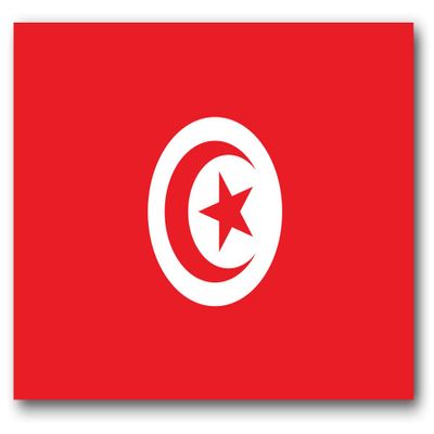 BORED? PARACORD! Tunisia Flag Vinyl Decal Sticker Car Window Bumper 5 X 3 Inches Premium Quality