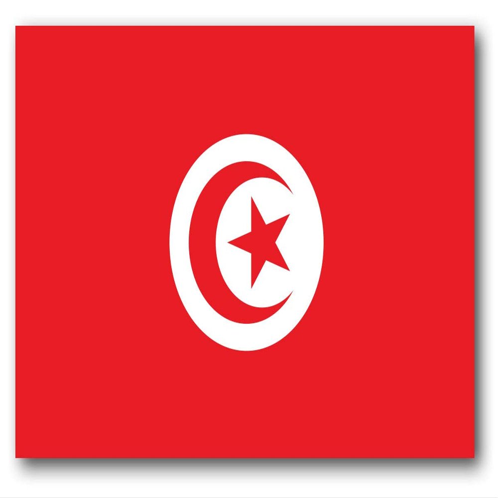 BORED? PARACORD! Tunisia Flag Vinyl Decal Sticker Car Window Bumper 5 X 3 Inches Premium Quality