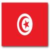 BORED? PARACORD! Tunisia Flag Vinyl Decal Sticker Car Window Bumper 5 X 3 Inches Premium Quality view 1