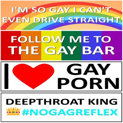 Funny Gay Bumper Stickers - Great for Gags, Jokes, Gifts - Set of 4 | Sticker | 8" x 3"