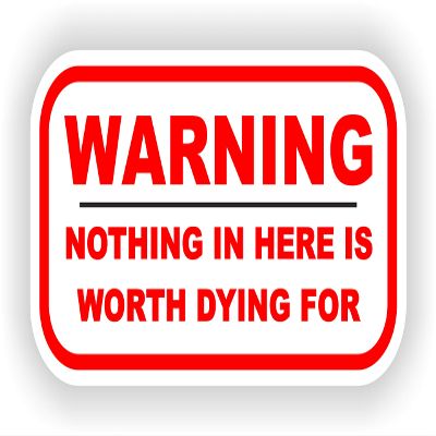 1x Nothing In Here Is Worth Dying For Funny Warning Vinyl Waterproof Sticker - 15cm / 5.9inches