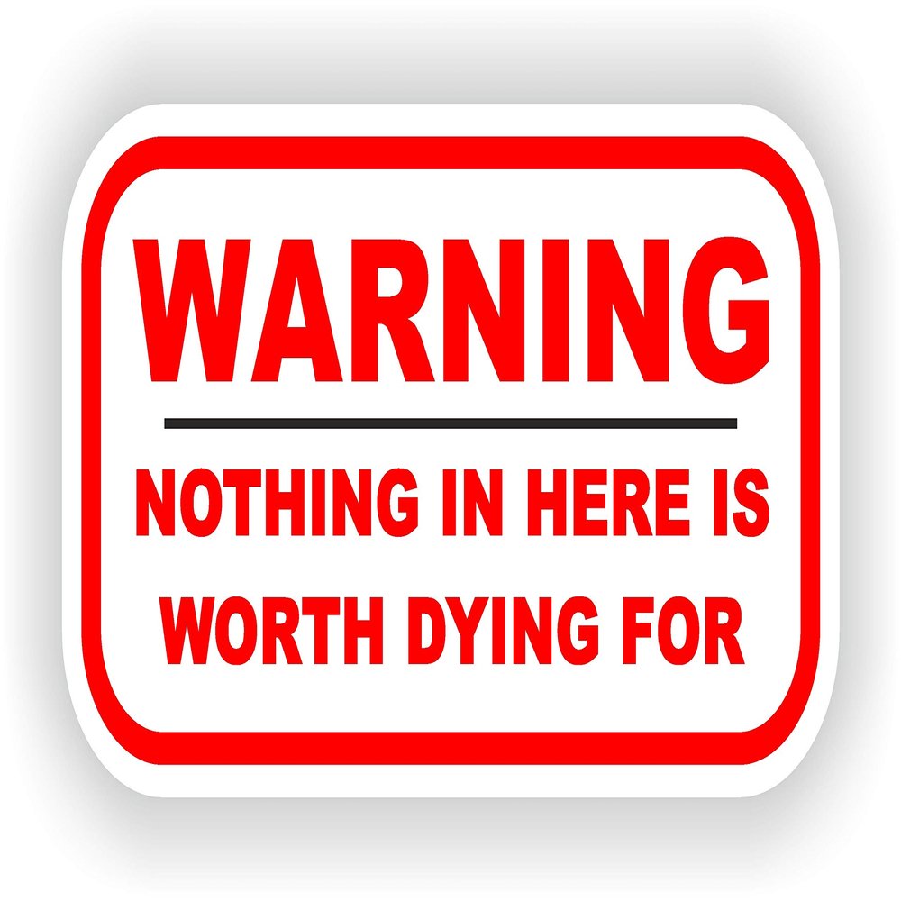 1x Nothing In Here Is Worth Dying For Funny Warning Vinyl Waterproof Sticker - 15cm / 5.9inches