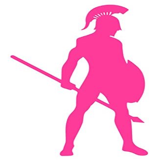 Silhouette Spartan Army y1006 Vinyl Sticker Decals (Pack of 2) for Car Window Laptop Phone Tablet (12" x 7.2", Pink)