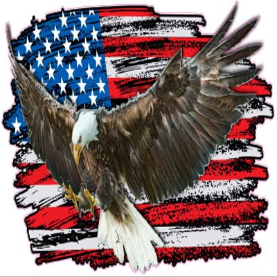 Eagle Worn American Flag Decal from The United States (48" x 29")