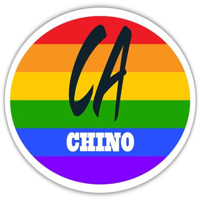 Chino CA California San Bernardino County Rainbow Pride Flag 6 Stripes Pride Flag Euro Decal Bumper Sticker 3M Vinyl 3" x 5"