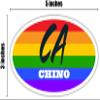 Chino CA California San Bernardino County Rainbow Pride Flag 6 Stripes Pride Flag Euro Decal Bumper Sticker 3M Vinyl 3" x 5" view 4
