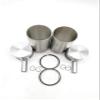 2 Cylinder Engine Overhaul Rebuild Kit For Thermo King TK2.44 TK244 view 4