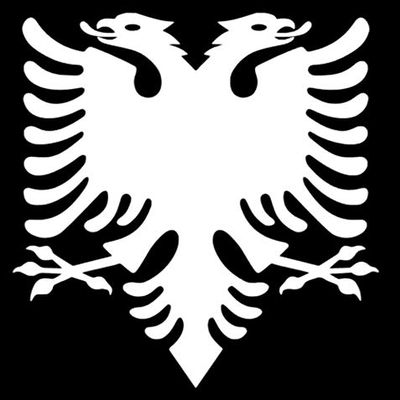 Animal Bird Coat of Arms Double y1191 Vinyl Sticker Decals (Pack of 2) for Car Window Laptop Phone Tablet (10" x 9.3", White)