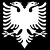 Animal Bird Coat of Arms Double y1191 Vinyl Sticker Decals (Pack of 2) for Car Window Laptop Phone Tablet (10" x 9.3", White) view 1