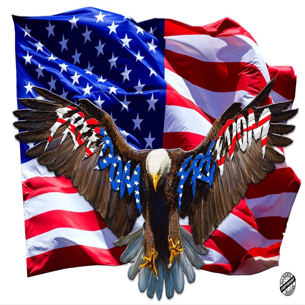 Soaring Bald Eagle American Flag Freedom Decal (12" x 8")