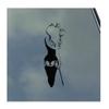 BDSM Woman with Crop Vinyl Sticker Decal S&M Kinky Love Master Slave Safe Word Kitten view 1