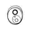YM15V00006R100 Seal KIT FITS KOBELCO SK210-9 SK210-8 SK210-10 Swing Motor view 1